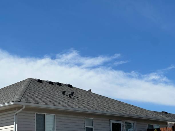 Best Green or Eco-Friendly Roofing Solutions  in Mercerville, NJ